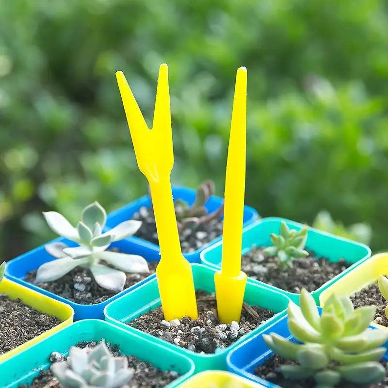 Succulent Set - 1/10 pçs semeadura suculentas transplante mudas