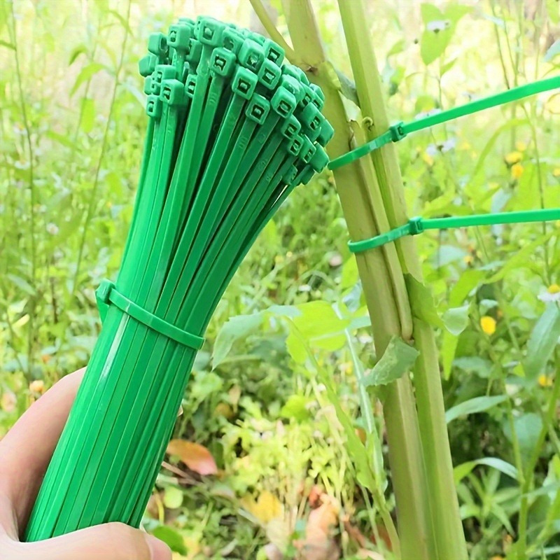 Plant Pot - 100 peças de abraçadeiras para jardim,