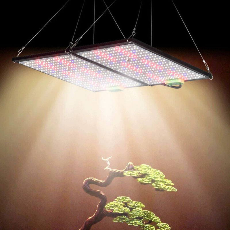 Luz de Cultivo LED Quantum-Boa - Indoor Plants avaliação e preço