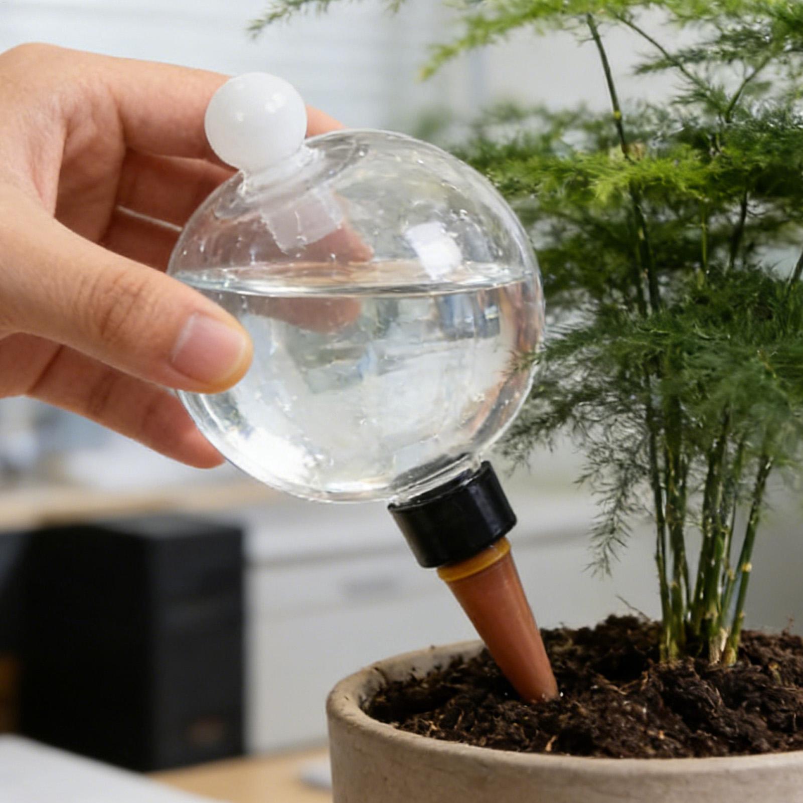 Bolas de Rega Automática para  - Pothos avaliação e preço