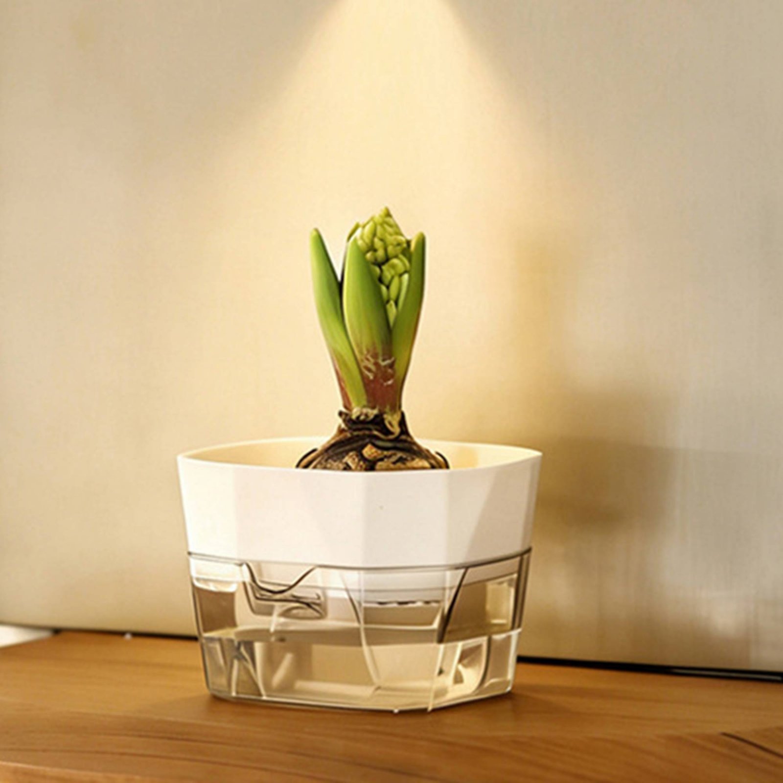 Vaso Hidropônico com Design de - Plant Pot avaliação e preço