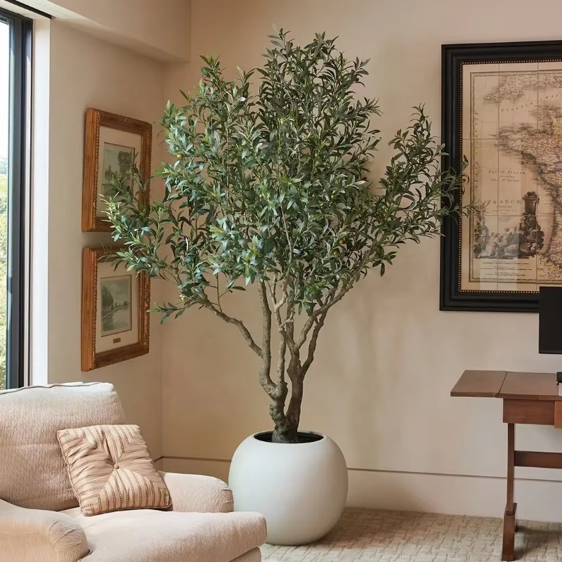 Personalizável 90cm 120cm 150c - Indoor Plants avaliação e preço