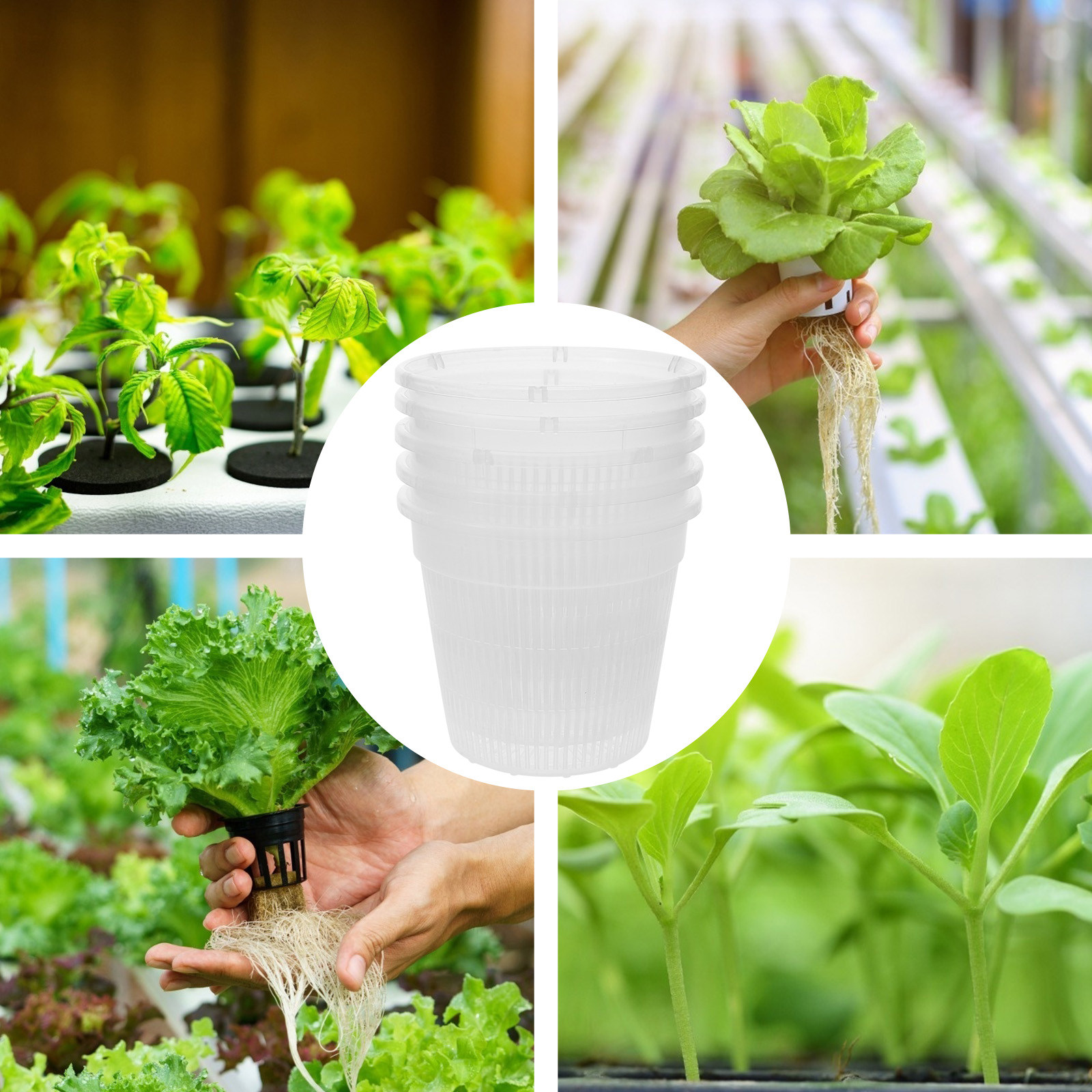 5 unidades de vasos de rede pa - Indoor Plants avaliação e preço