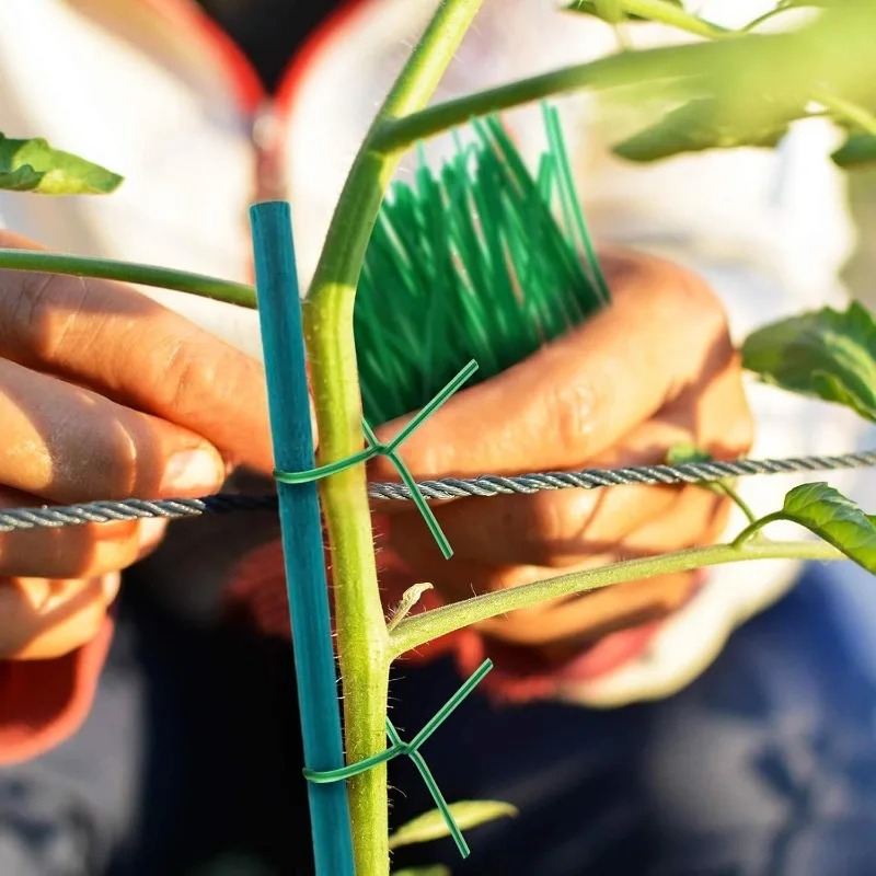 Estacas de Suporte para Planta - Plant Support Stake avaliação e preço