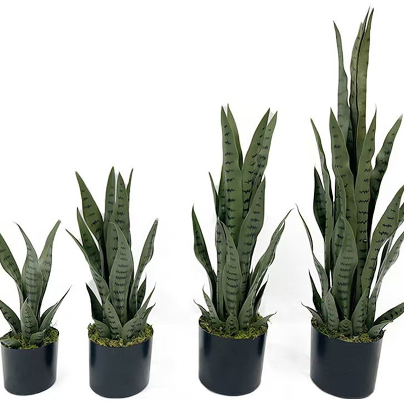 Planta Artificial Sansevieria  - Snake Plant avaliação e preço