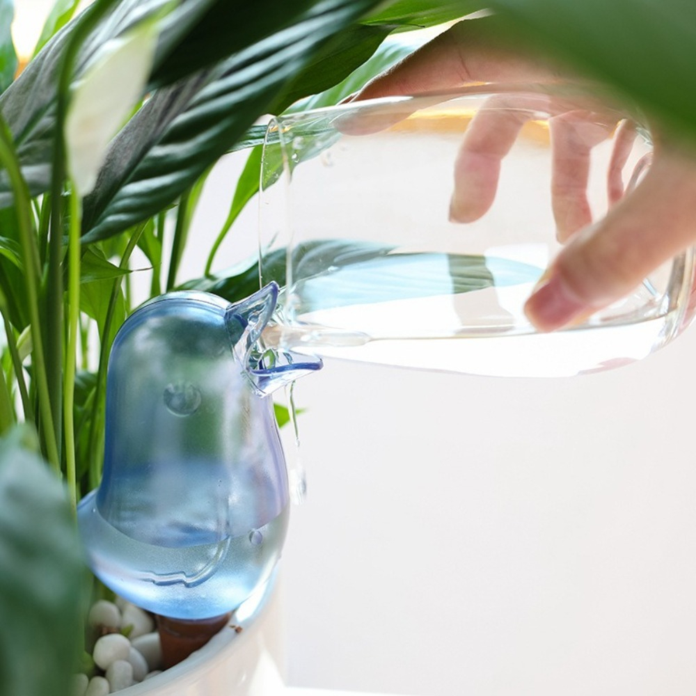 Dispositivo de Irrigação Autom - Pothos avaliação e preço