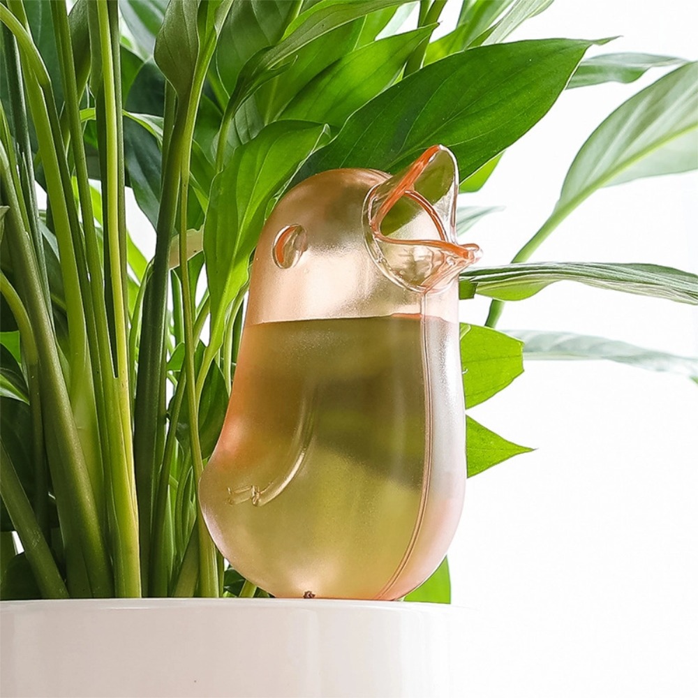 Dispositivo de Irrigação Autom - Pothos avaliação e preço