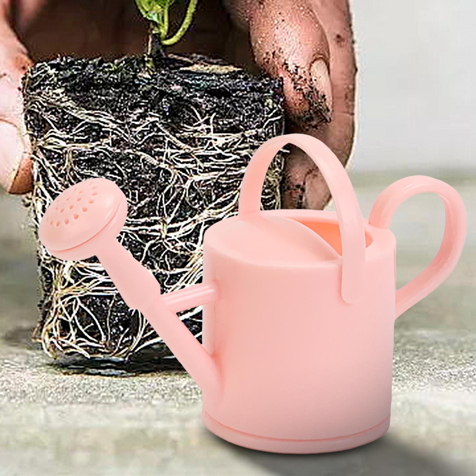 Regador Pequeno para Crianças, - Succulent Set avaliação e preço