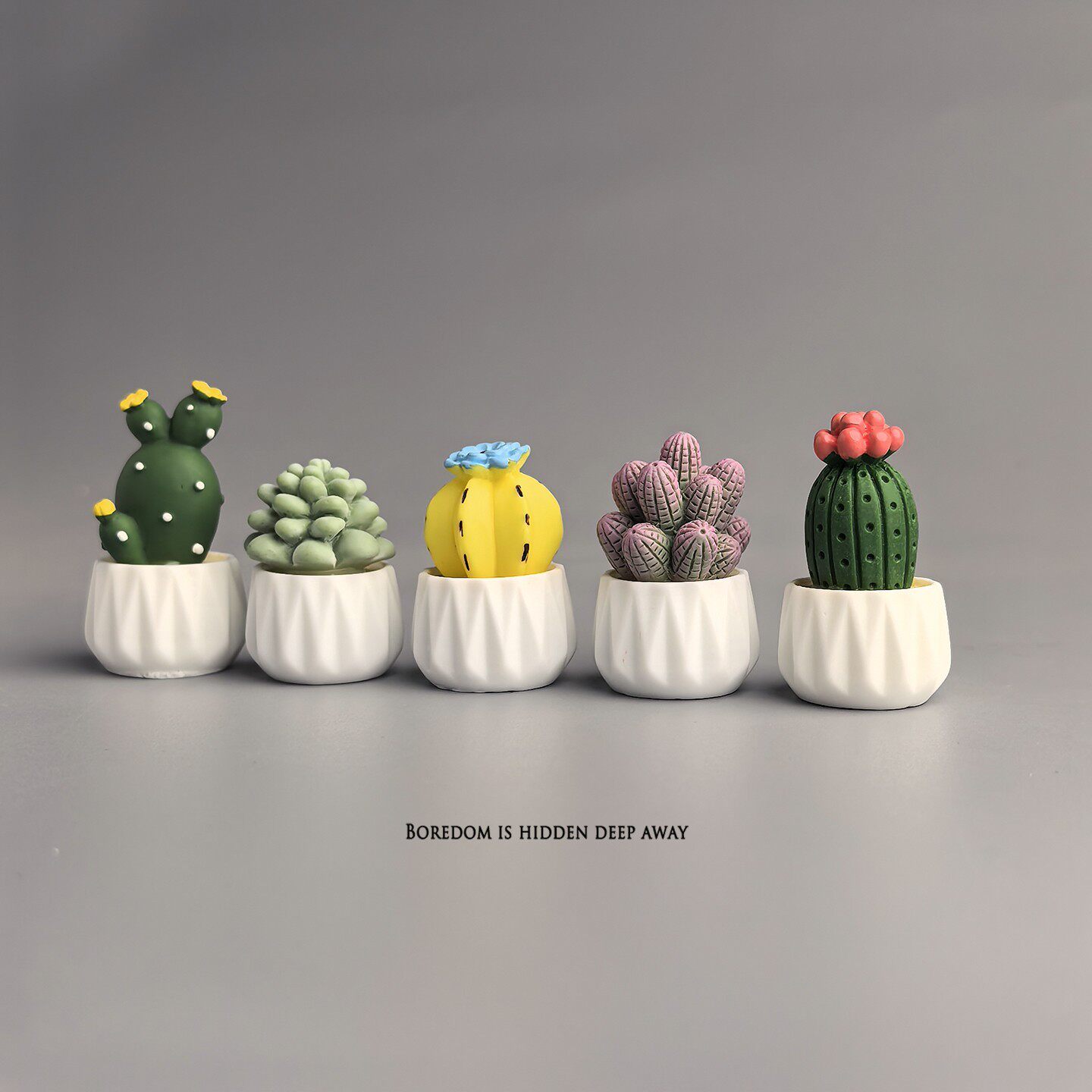 Cacto Suculento em Vaso: Mini  - Succulent Set avaliação e preço