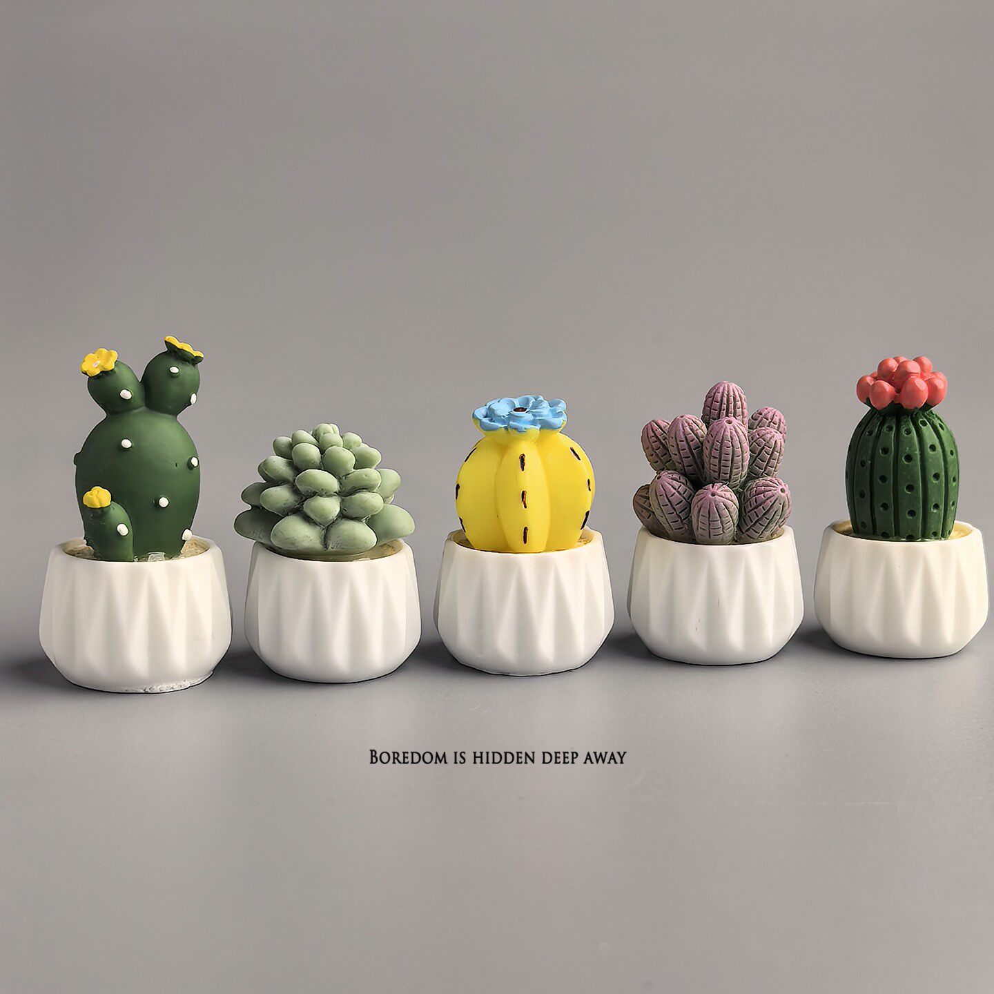 Cacto Suculento em Vaso: Mini  - Succulent Set avaliação e preço