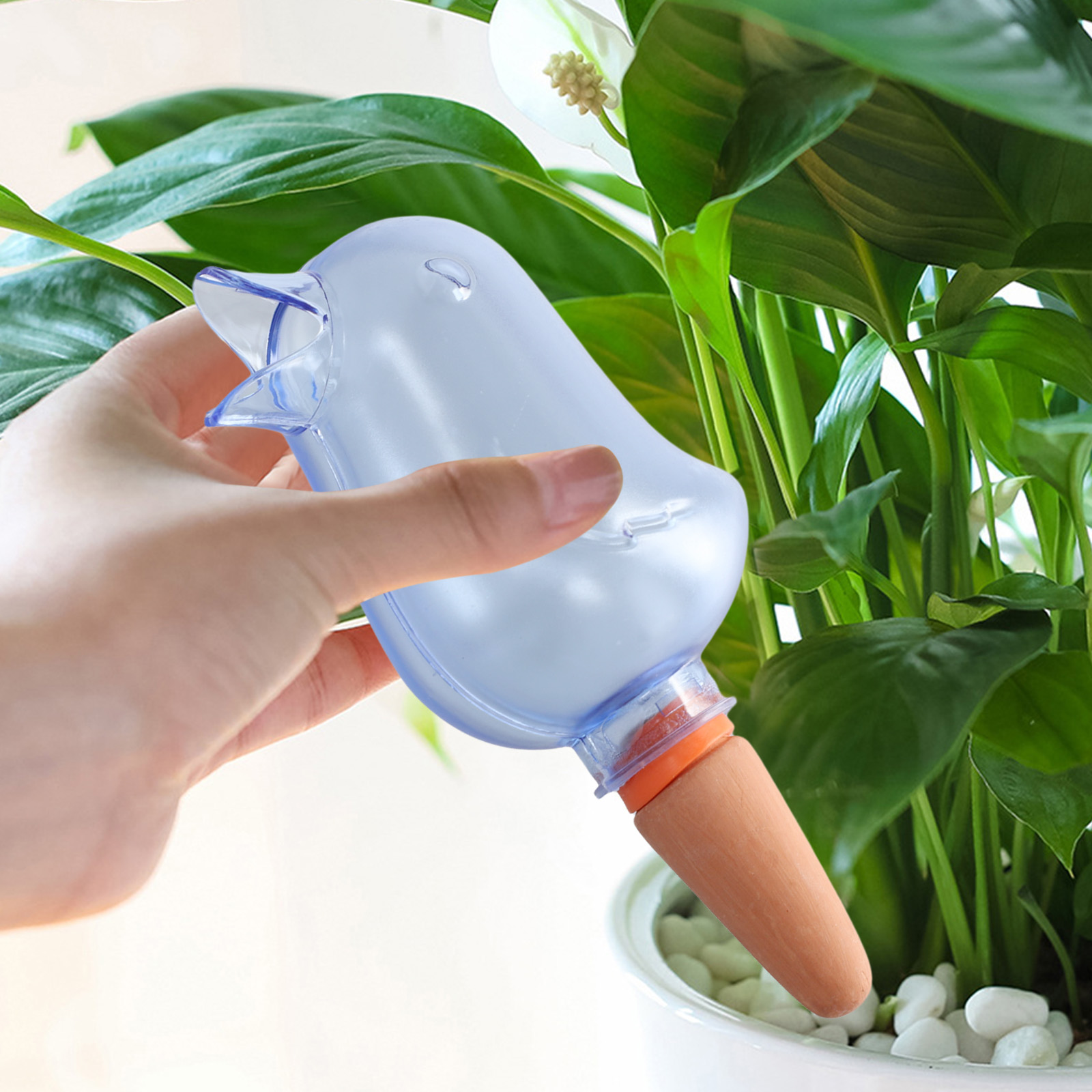 Sistema automático de irrigaçã - Pothos avaliação e preço