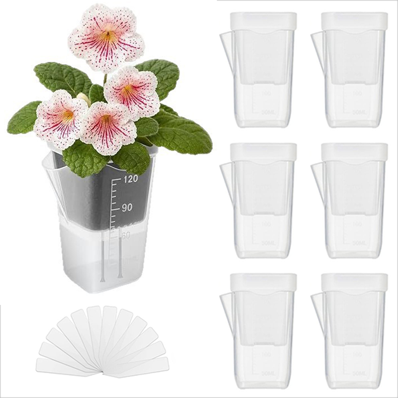 Conjunto de 16/32 Vasos Autoir - Pothos avaliação e preço