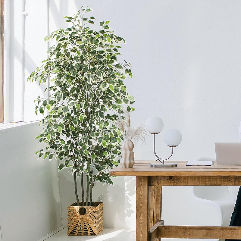 70in artificial ficus árvore f - Fiddle Leaf Fig avaliação e preço