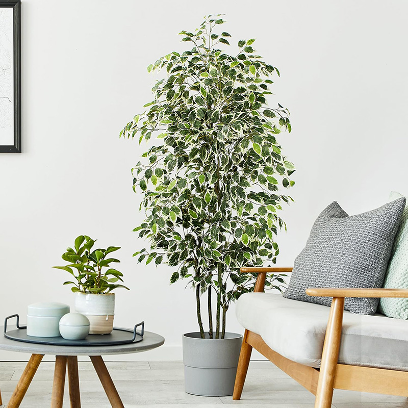 70in artificial ficus árvore f - Fiddle Leaf Fig avaliação e preço