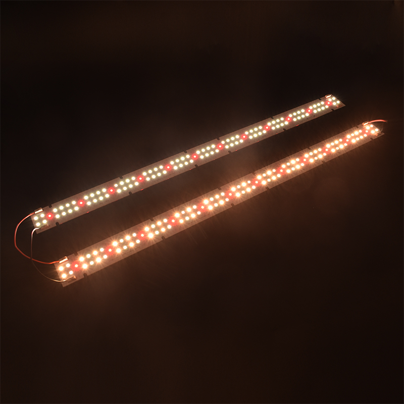 Luz de Cultivo LED COB de Alta - Indoor Plants avaliação e preço