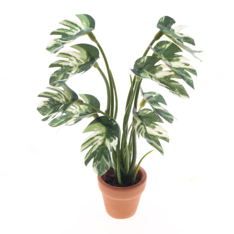 Novo. 1PC Planta Verde Monster - Pothos avaliação e preço