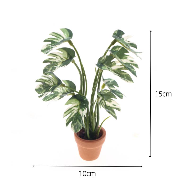 Novo. 1PC Planta Verde Monster - Pothos avaliação e preço