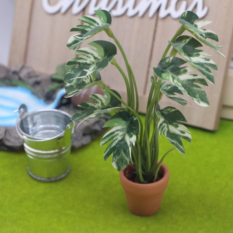 Novo. 1PC Planta Verde Monster - Pothos avaliação e preço