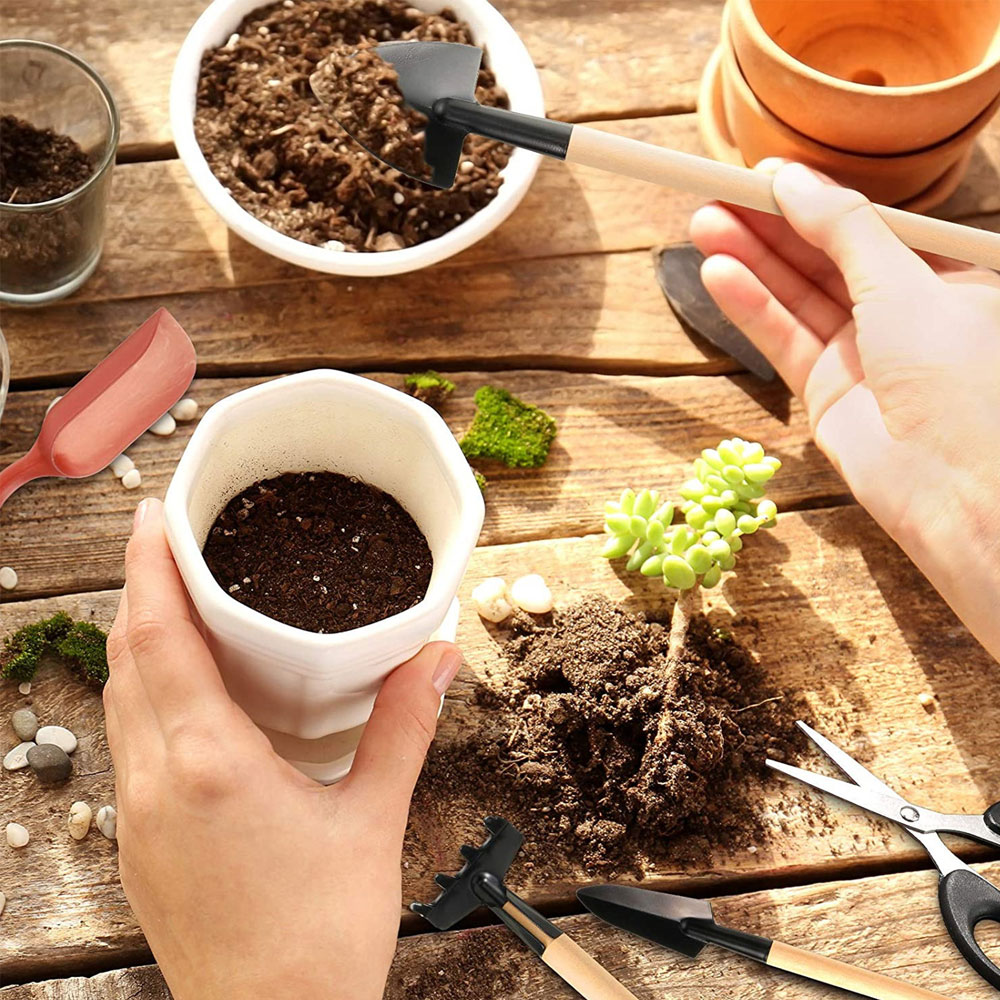 Ferramentas de plantas suculen - Succulent Set avaliação e preço